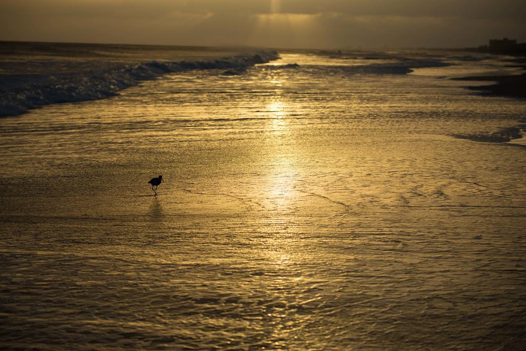 Atlantic Beach Resort, A Ramada By Wyndham エクステリア 写真