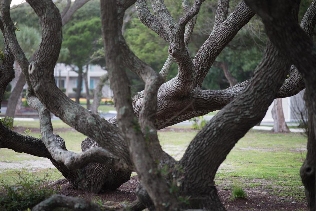 Atlantic Beach Resort, A Ramada By Wyndham エクステリア 写真